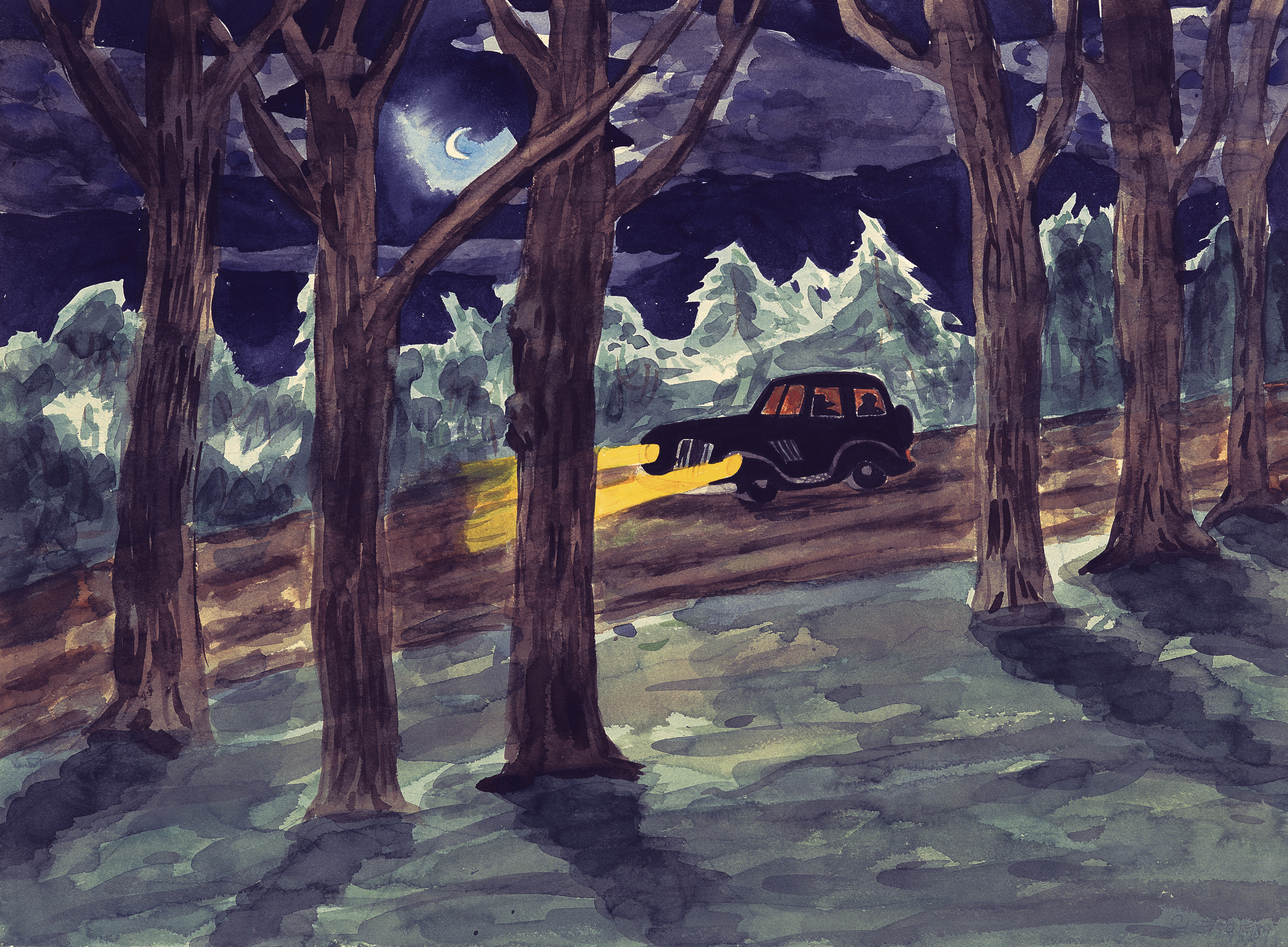 Car in Forest